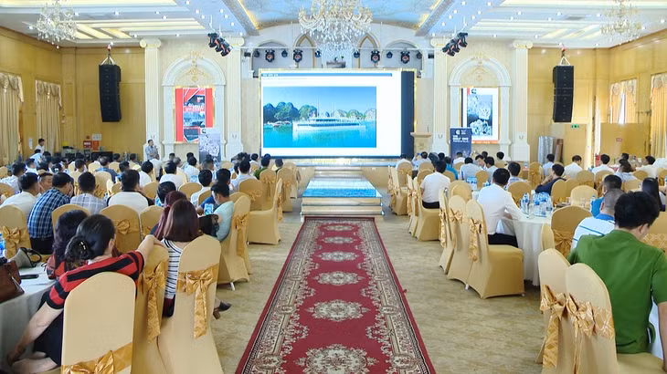 Hội thảo thu hút các chủ tàu hoạt động trên Vịnh Hạ Long và Vịnh Bái Tử Long