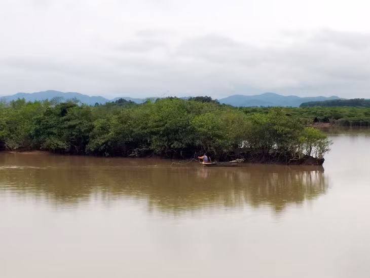 Hệ thống rừng ngập mặn ven biển ở xã đảo Đồng Rui(Tiên Yên) được bảo vệ phát triển tạo thuận lợi cho thủy sản cư trú, sinh trưởng. 