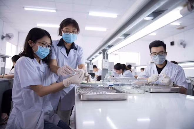 Sinh viên khối ngành khoa học sức khỏe của Đại học Quốc tế Hồng Bàng, trong phòng thí nghiệm. (Ảnh: HIU)