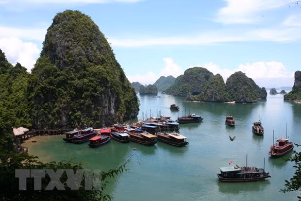 Tàu tham quan Vịnh Hạ Long. (Ảnh: Huy Hùng/TTXVN)