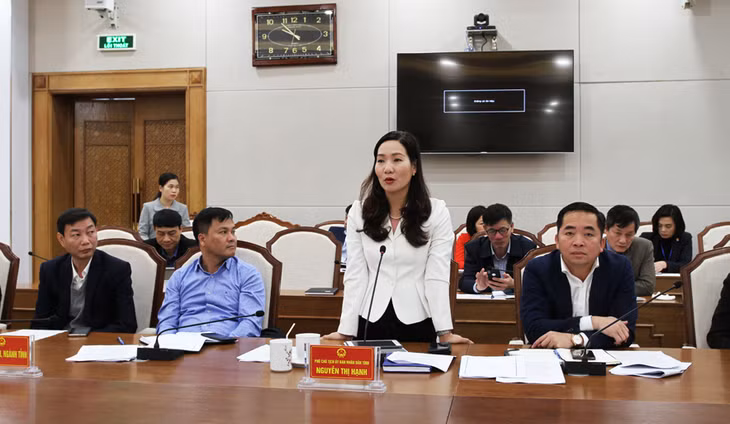 Phó Chủ tịch UBND tỉnh phát biểu tại buổi làm việc.