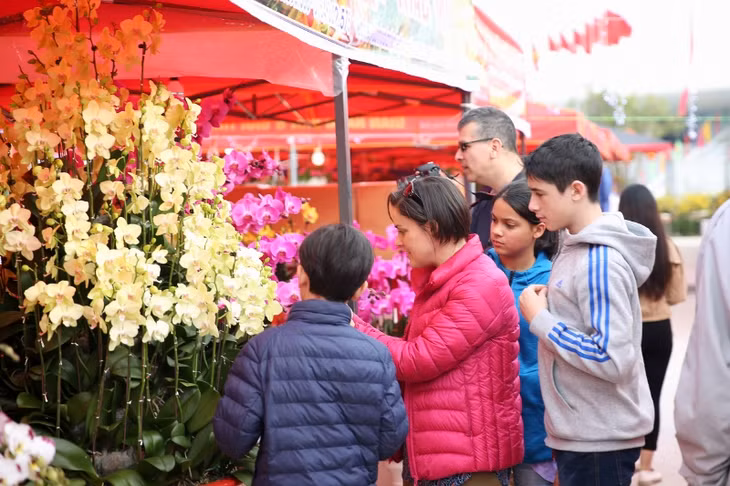 Du khách nước ngoài cũng hào hứng với sắc đẹp của các loài hoa.