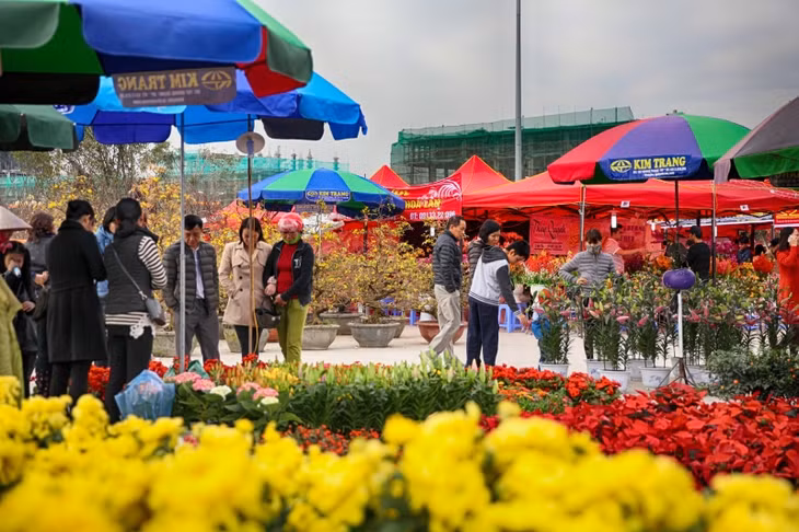 Mỗi loài hoa đều gây ấn tượng với du khách bằng hương sắc của mình.