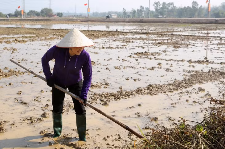 Nét mặt phấn khởi của người nông dân.