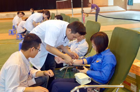 Đông đảo cán bộ, ĐVTN tham gia HTMN năm 2015