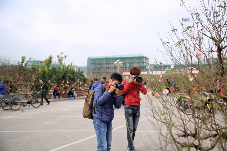 Những nụ hoa cũng là chủ đề của các bạn yêu thích nhiếp ảnh.