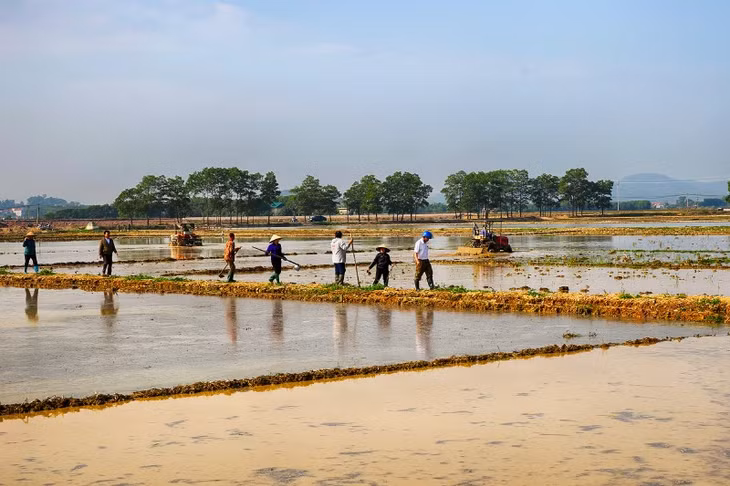 Ngay từ ngày mùng 3 Tết, tranh thủ nước về, bà con nông dân Thị xã Đông Triều đã xuống ruộng chuẩn bị vụ mùa mới.