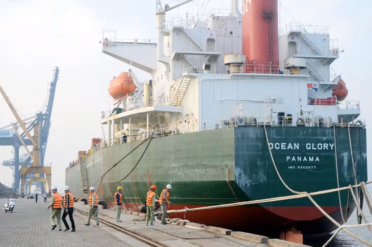 Tàu Ocean Glory (quốc tịch Panama) “xông” cảng Cái Lân vào 9h ngày 30/1 thực hiện bốc dỡ 11.933 tấn lúa mỳ.
