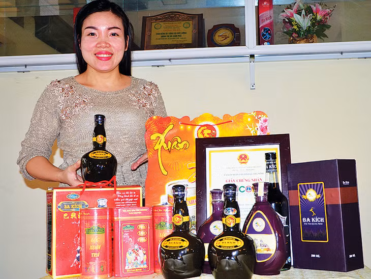 Ba kích Ba Chẽ được lựa chọn làm nguyên liệu chính tạo nên các sản phẩm đặc sắc của Công ty CP Xây dựng và Sản xuất Rượu - Bia - Nước giải khát Cẩm Phả (TP Cẩm Phả).