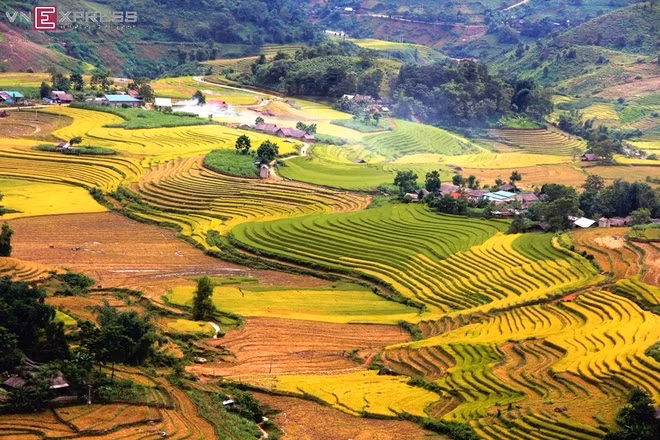 Núi Mào Gà, Lào Cai Trong tiếng Mông, Sàng Ma Sáo có nghĩa là dãy núi Mào Gà, thuộc huyện Bát Xát. Nơi đây nổi tiếng với các ruộng bậc thang thoải bên sườn núi. Bạn sẽ cảm thấy như được hòa mình vào thiên nhiên và bầu không khí trong lành. Một trong những thời điểm đẹp nhất là vào tháng 9, 10 khi những thửa ruộng rực vàng. Ảnh: Nam Chấy.