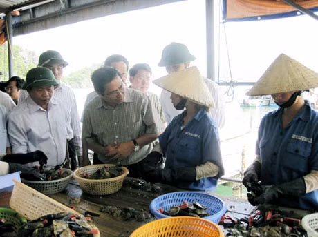 Đồng chí Bí thư Tỉnh ủy thăm hỏi công nhân tại cơ sở chế biến ngọc trai của Công ty TAIHEIYO SHIN JU VET NAM-LC.