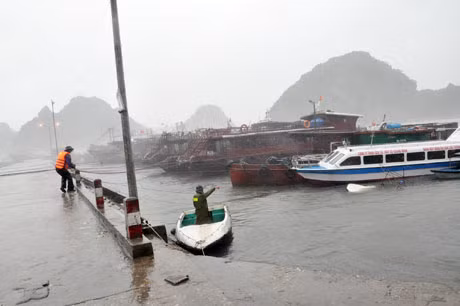 Tàu thuyền vào tránh bão tại Cảng Cái Rồng.