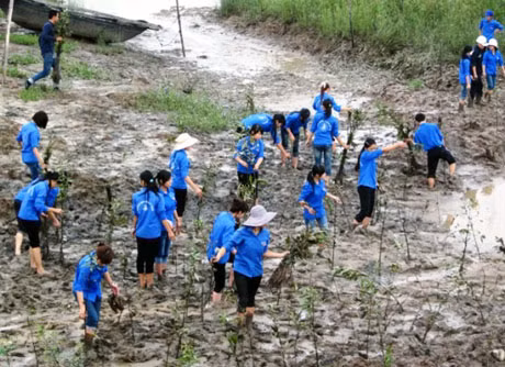 ĐVTN Công ty Than Mạo Khê tham gia trồng cây hoàn nguyên môi trường tại lộ vỉa 8 cách Nam khu Tràng Khê (Đông Triều).