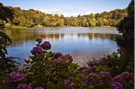Cảnh đẹp trên mặt hồ Hoare, Wiltshire.