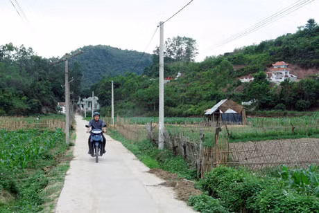 Đường làng thôn Thác Bưởi (xã Tiên Lãng, Tiên Yên) đã được đầu tư bê tông hoá.