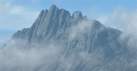 Jaya (còn gọi là Djaja hay Kim tự tháp Carstensz) là tên của ngọn núi cao nhất tại Châu Đại Dương. Nó thuộc Sudirman, dãy núi trải dài từ tỉnh Papua của Indonesia tới phía tây New Guinea. Châu Đại Dương là một khu vực bao gồm những đảo nằm trong Thái Bình Dương và những khu vực lân cận.