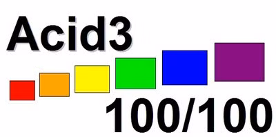 Kết quả kiểm tra AcidTest đạt điểm tuyệt đối 100/100