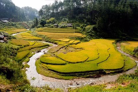 Người dân có thể tận dụng cả nước mưa và nước suối để canh tác.