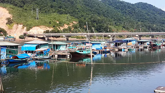 Mô hình nhà bè nuôi cá song đen tập trung tại thôn Cặp Tiên, xã Đông Xá (Vân Đồn). Ảnh: Minh Đức