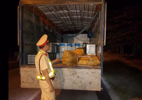 Phương tiện và lượng hoa quả bị tạm giữ 