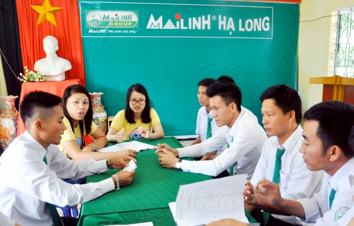 Tình nguyện viên của Thành Đoàn Hạ Long và giáo viên người nước ngoài của Trung tâm Đào tạo ngoại ngữ và Tư vấn du học Asia, dạy tiếng Anh cho các lái xe hãng taxi Mai Linh.