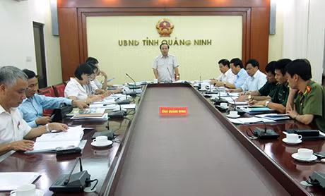 Đồng chí Nguyễn Đình Tuấn, , Ủy viên BTV Tỉnh ủy, Trưởng Ban Pháp chế HĐND tỉnh phát biểu kết luận tại cuộc họp