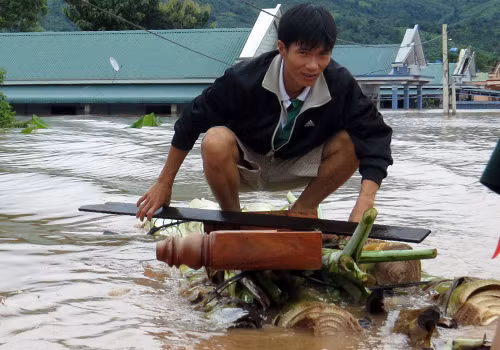  Thậm chí là đóng bè chuối. Lãnh đạo huyện Hướng Hóa cho biết công tác di dân tại các vùng bị cô lập vẫn đang được triển khai, đồng thời đảm bảo về lương thực cho người dân vùng lũ.