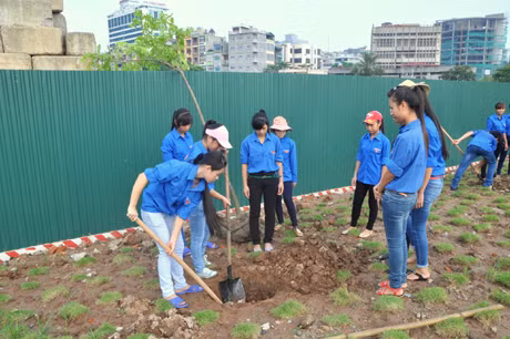 ĐVTN tham gia trồng cây xanh tại công viên Lán Bè