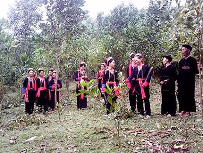 Hát đối giao duyên trên nương của đồng bào dân tộc Dao Thanh Y.