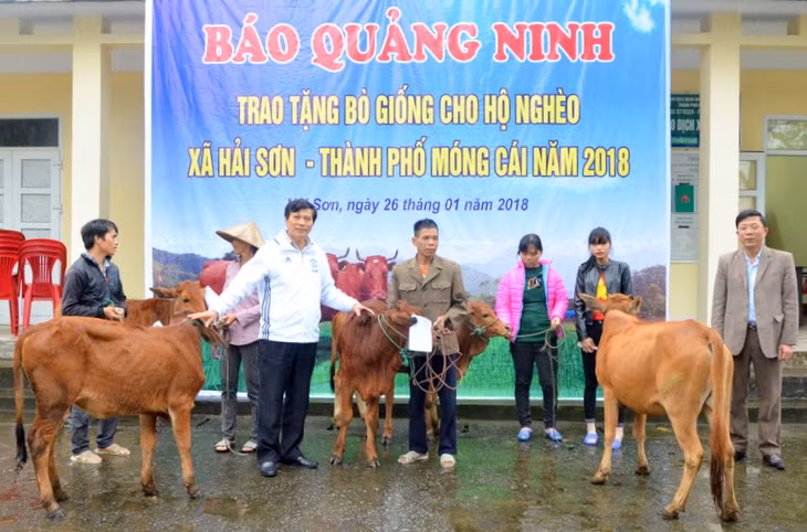 Đồng chí Nguyễn Tiến Mạnh, Tổng Biên tập Báo Quảng Ninh trao tặng bò giống cho 5 hộ nghèo tại xã biên giới Hải Sơn, TP Móng Cái