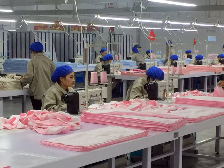 Khi đi vào hoạt động