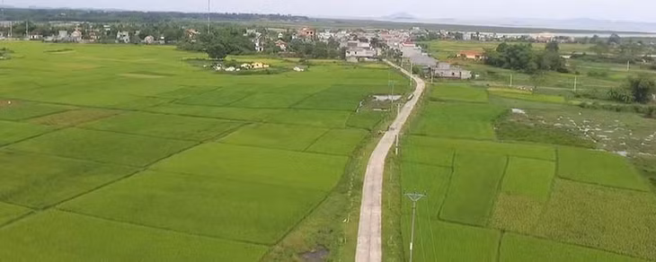 Xây dựng NTM ở xã Đầm Hà đang hình thành lên vùng sản xuất tập trung. 