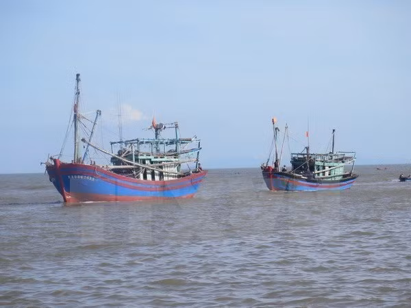 Ảnh minh họa. (Nguồn: TTXVN)