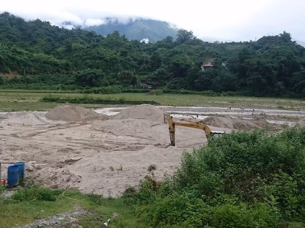 (Ảnh minh họa: Quang Duy/TTXVN)