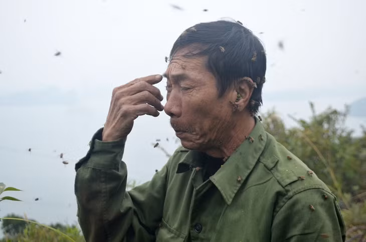 Chẳng cần trùm mạng che, với ông Bách ong đốt là chuyện bình thường. 