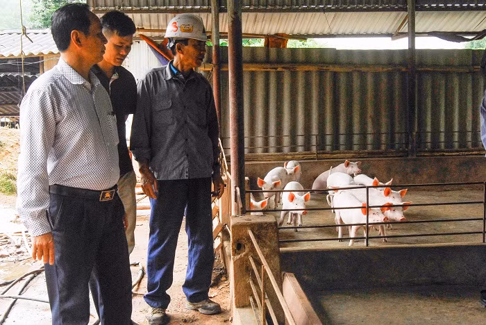Cán bộ xã Cộng Hòa (TP Cẩm Phả) thăm mô hình chuồng trại của hộ ông Nguyễn Văn Thám (thôn Cái Tăn).
