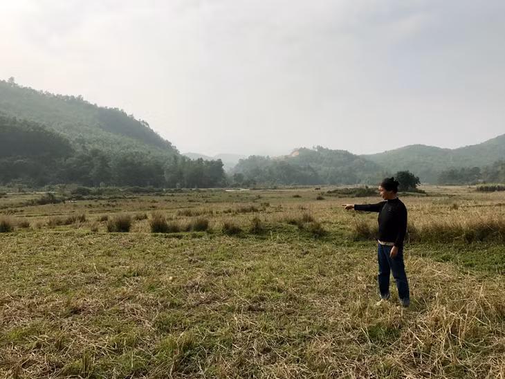 Cánh đồng của gia đình bà Tạ Thị Mùi, thôn Đồng Dọng, xã Bình Dân bị bỏ trống, không thể trồng cấy do đã được kiểm đếm GPMB