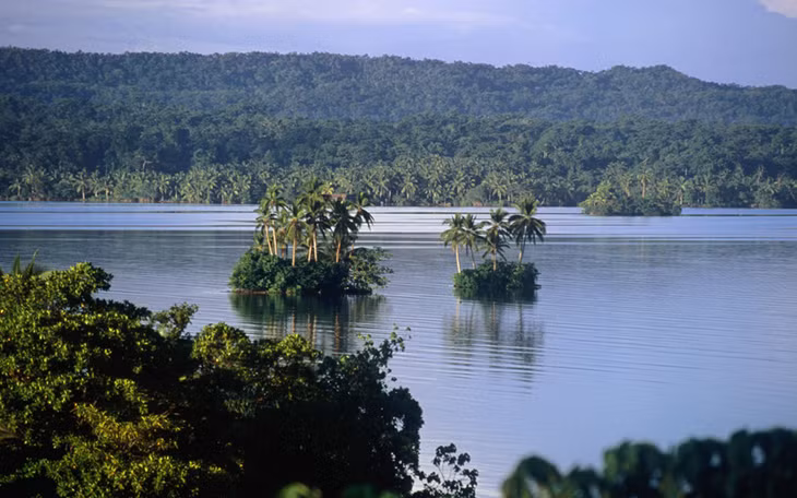 Đông Rennell, quần đảo Solomon: Unesco ước tính có khoảng 62 di sản văn hoá thế giới bị đe doạ bởi biến đổi khí hậu, trong đó có Đông Rennell ở đảo Rennell, hòn đảo cực nam của quần đảo Solomon, Tây Thái Bình Dương. Nơi đây có rạn san hô vòng lớn nhất thế giới với chiều dài 86 km và rộng 15 km cùng nhiều loài sinh vật đặc biệt đang chịu các tác động tiêu cực từ biến đổi khí hậu. Ảnh: Peter Hendrie/Getty.
