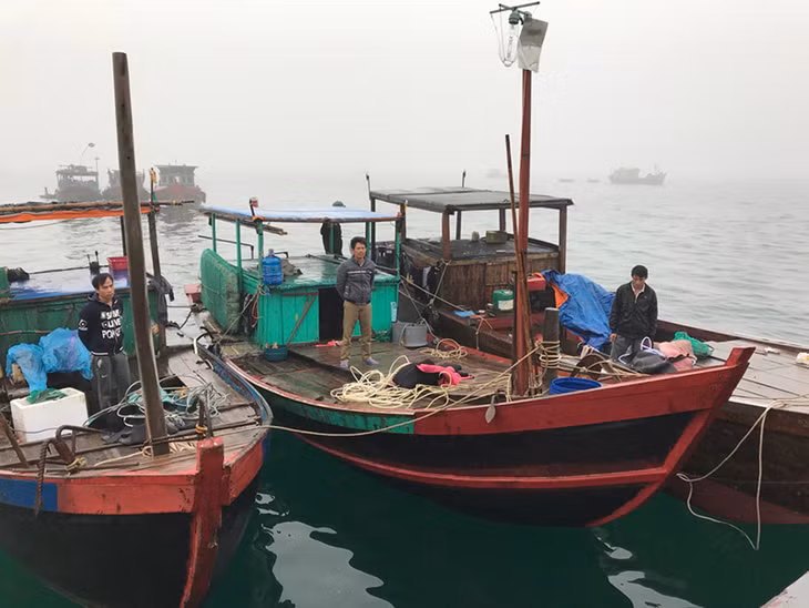 Hai tàu cá khai thác thủy sản trái phép bị bắt giữ. (Anh do đơn vị cung cấp)