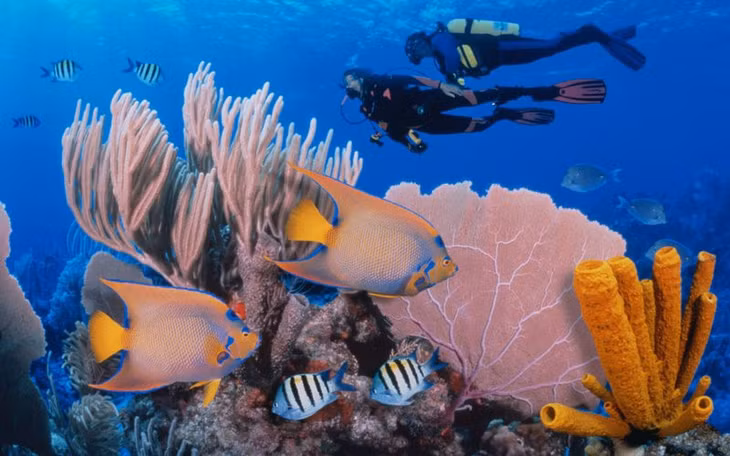 Belize Barrier Reef, Belize: Belize Barrier Reef có một trong những rạn san hô dài nhất ở Tây bán cầu, hố ngầm khổng lồ Great Blue Hole, là điểm thu hút khách du lịch hàng đầu của Belize và được Unesco công nhận là di sản thế giới. Belize Barrier Reef gồm các đảo san hô, bãi cát, rừng ngập mặn, đầm phá ven biển, là nơi sinh sống của rùa, lợn biển và cá sấu. Tuy nhiên, toàn bộ khu vực đang bị đe dọạ bởi ô nhiễm biển, cũng như việc không kiểm soát được các hoạt động du lịch, vận tải hay đánh cá. Ảnh: Jeff Hunter/Getty.