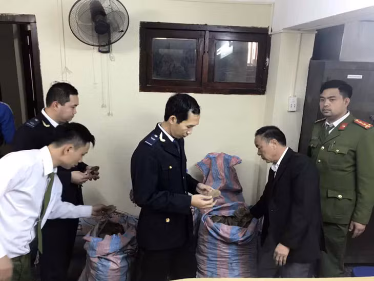 Lực lượng chức năng kiểm tra toàn bộ số vẩy tê tê thu giữ.