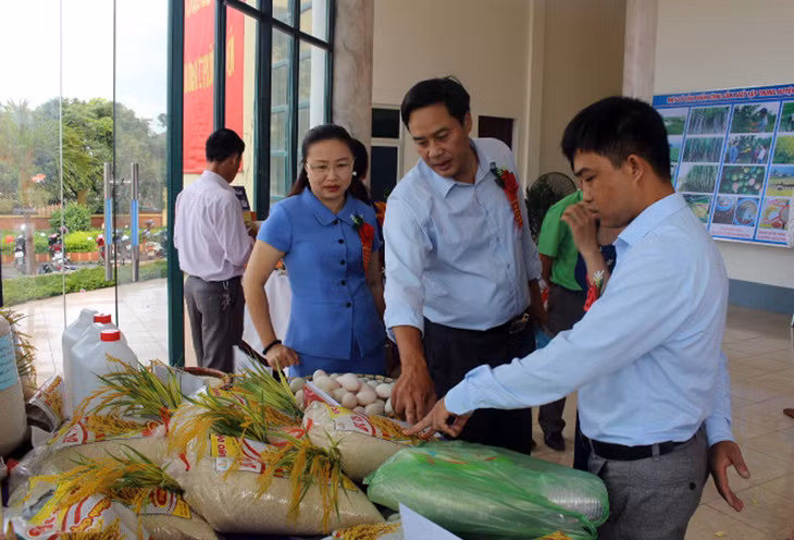 Hiện nay, huyện Hải Hà có 24 sản phẩm OCOP của 21 doanh nghiệp, cơ sở sản xuất tham gia chu trình OCOP giai đoạn 2014-2017.