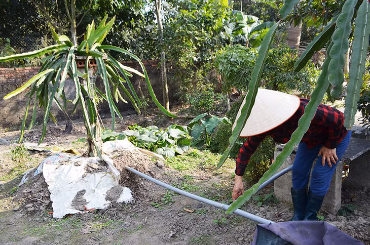 Nhờ áp dụng khoa học kỹ thuật, chuyển đổi giống cây trồng phù hợp, khu vườn mẫu của gia đình ông Bùi Văn Thanh, trú tại thôn Yên Sơn, xã Yên Thọ, TX Đông Triều cho thu nhập cao