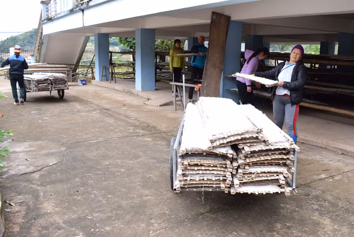 Cơ sở sản xuất miến dong của CCB La A Chiu tạo việc làm cho 20 lao động địa phương về mùa vụ