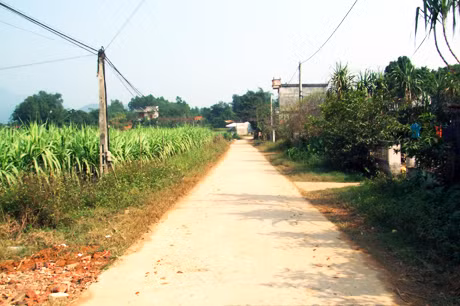 Đường vào thôn làng Mô, xã Đồn Đạc đã được bê tông hoá.