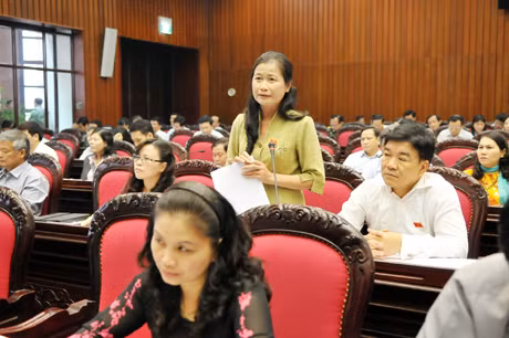 Đồng chí Đỗ Thị Hoàng, Phó Bí thư Thường trực Tỉnh ủy, Trường đoàn Đại biểu Quốc hội tỉnh phát biểu tại hội trường.