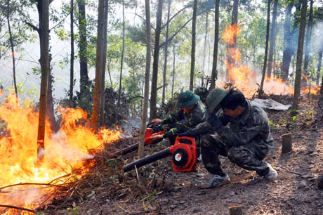 Phía bên trong, lực lượng chữa cháy tiếp cận hiện trường tích cực dập lửa