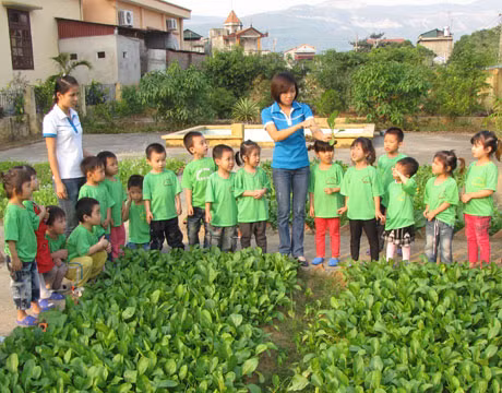 Giờ học vườn rau xanh nhà bé của trẻ lớp Hoạ My 4 tuổi trong vườn trường Sao Mai