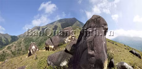 Dọc tuyến đường đang thi công từ Húc Động qua Cao Ba Lanh ta gặp những ngọn núi trùng điệp nối tiếp nhau với các loại cỏ mọc xanh ri trên mặt đất