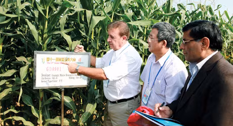 Các đại biểu thăm Trung tâm nghiên cứu giống ngô ở Quảng Tây.